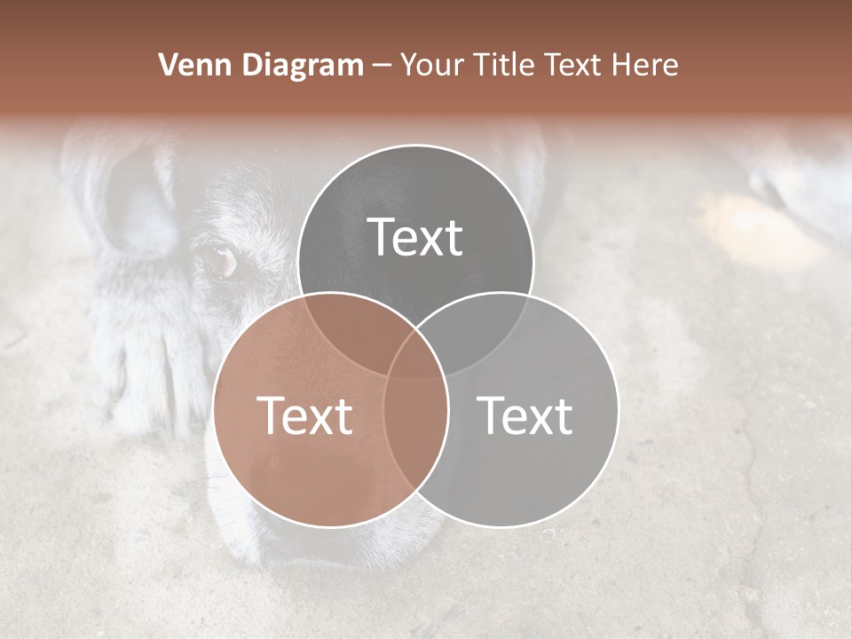 Black Down Indoors PowerPoint Template