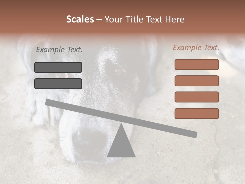 Black Down Indoors PowerPoint Template