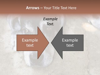 Black Down Indoors PowerPoint Template