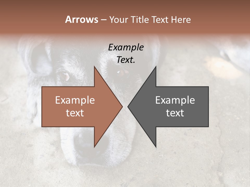 Black Down Indoors PowerPoint Template