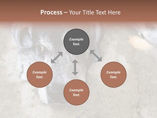 Black Down Indoors PowerPoint Template