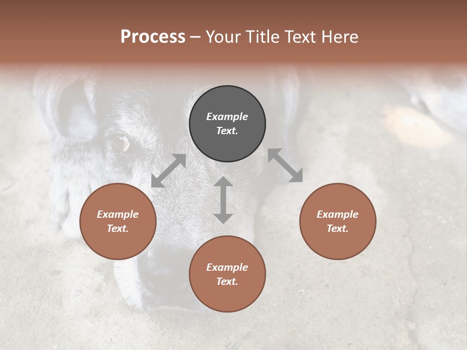 Black Down Indoors PowerPoint Template