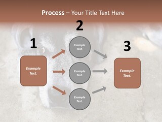 Black Down Indoors PowerPoint Template