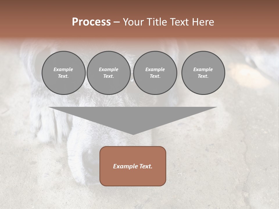Black Down Indoors PowerPoint Template