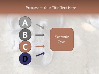Black Down Indoors PowerPoint Template