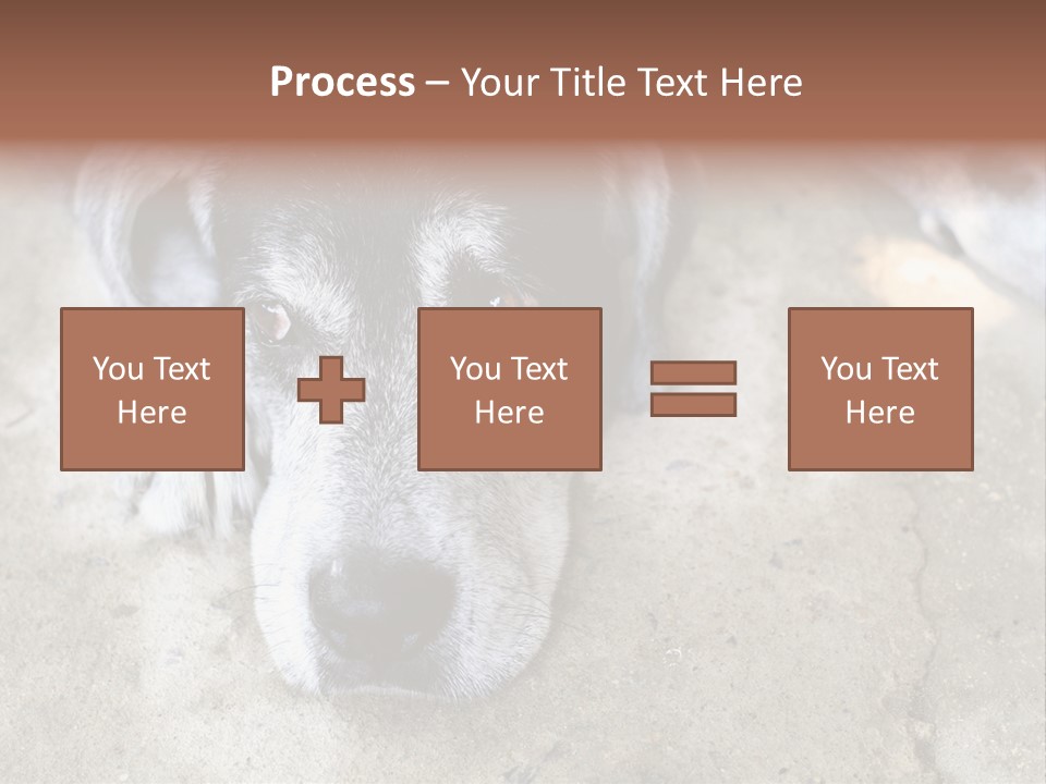 Black Down Indoors PowerPoint Template