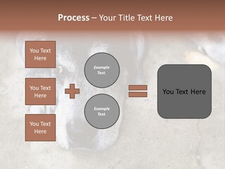 Black Down Indoors PowerPoint Template