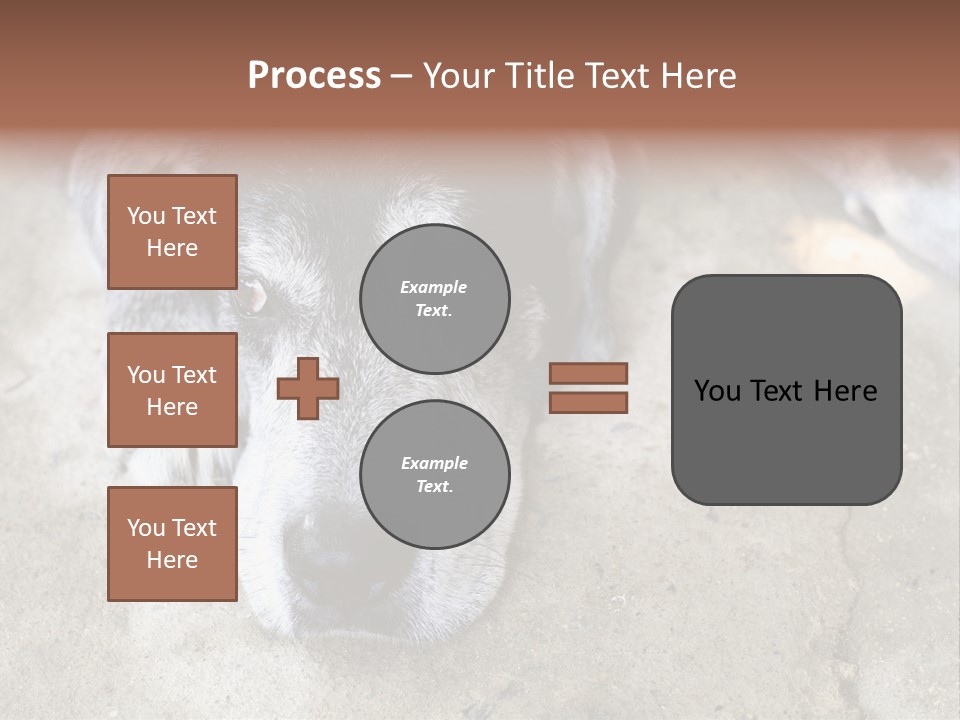 Black Down Indoors PowerPoint Template