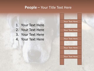 Black Down Indoors PowerPoint Template