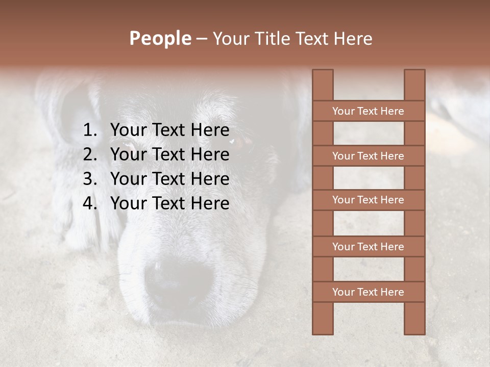 Black Down Indoors PowerPoint Template