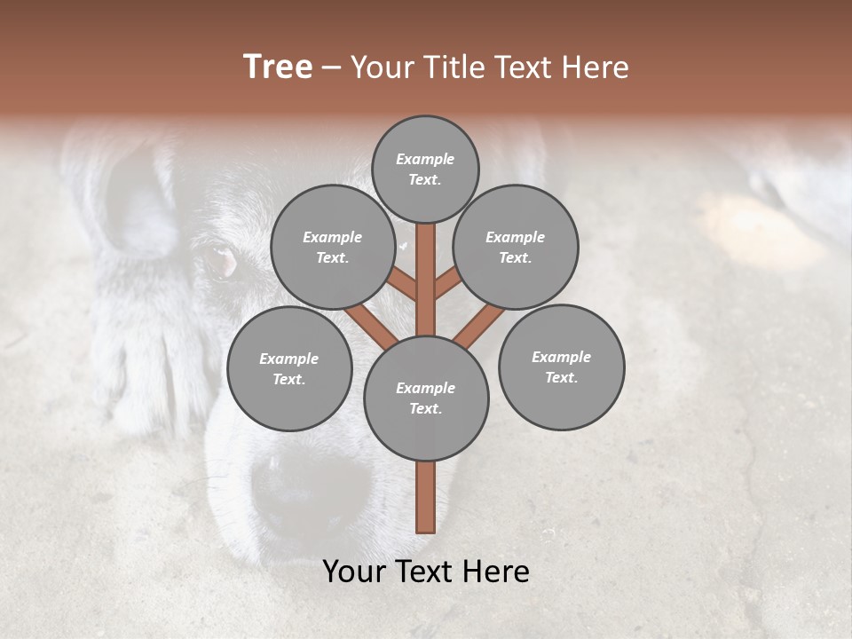 Black Down Indoors PowerPoint Template