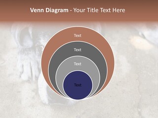 Black Down Indoors PowerPoint Template