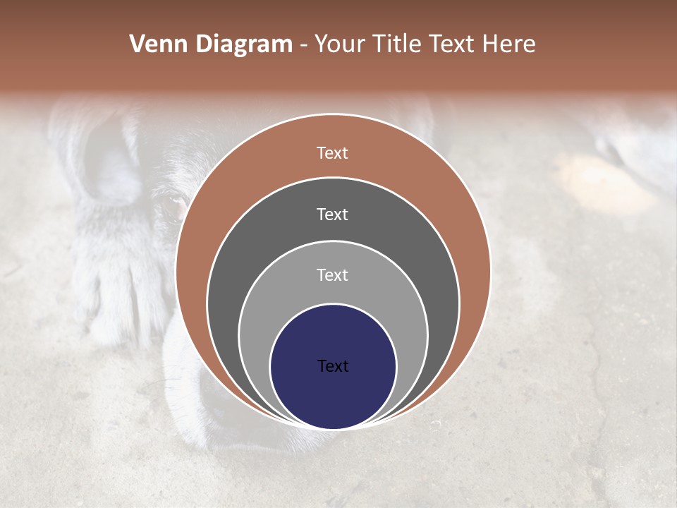 Black Down Indoors PowerPoint Template