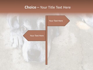 Black Down Indoors PowerPoint Template