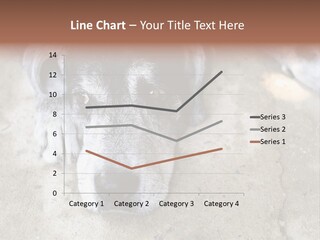 Black Down Indoors PowerPoint Template
