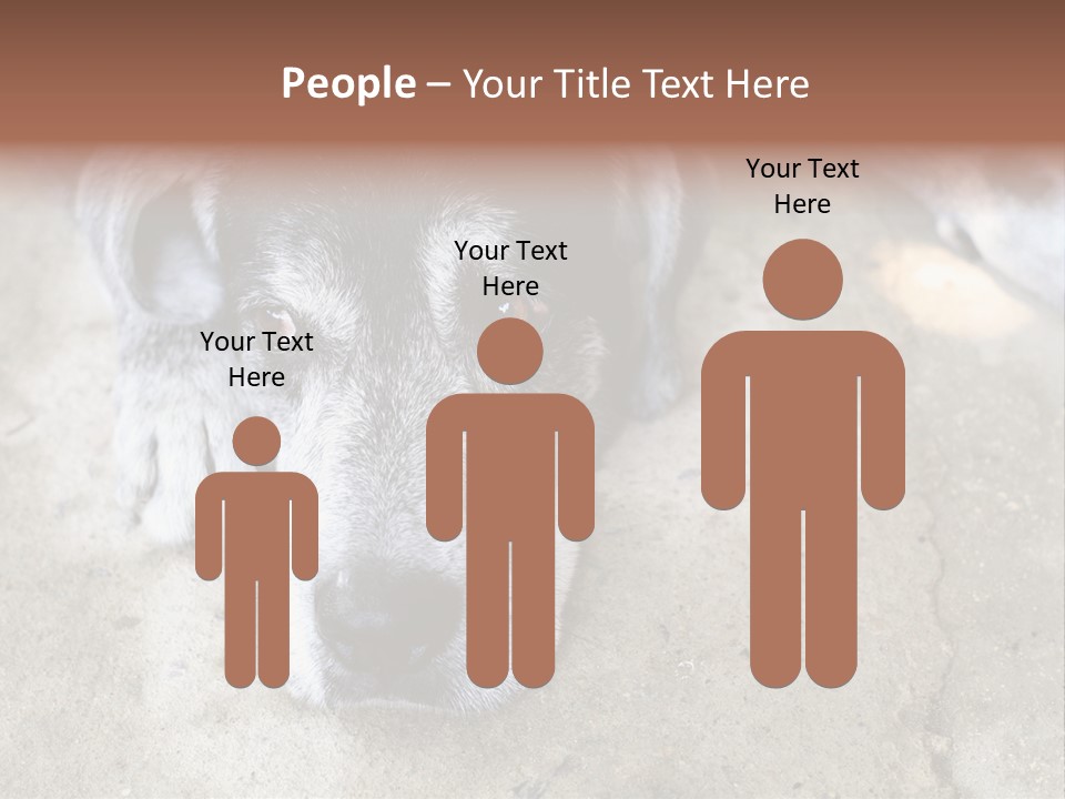 Black Down Indoors PowerPoint Template