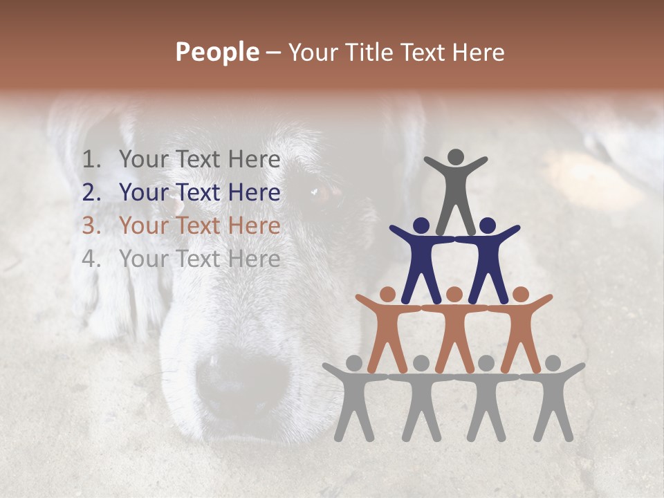 Black Down Indoors PowerPoint Template