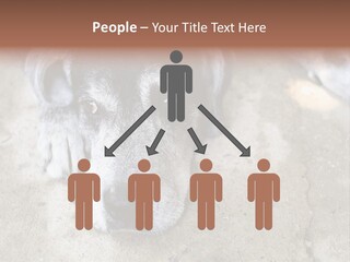 Black Down Indoors PowerPoint Template