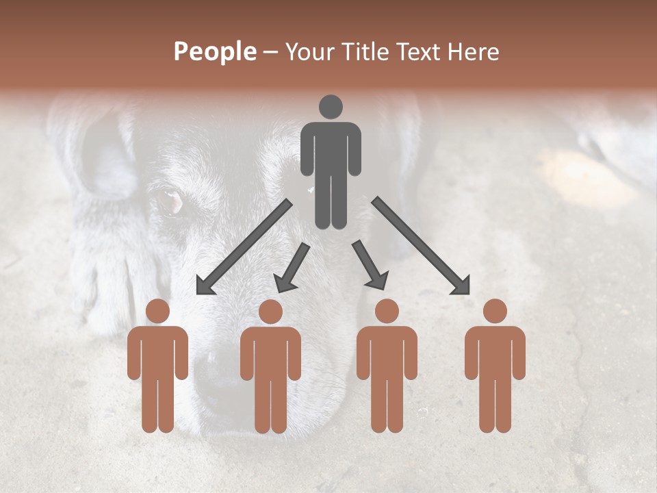 Black Down Indoors PowerPoint Template