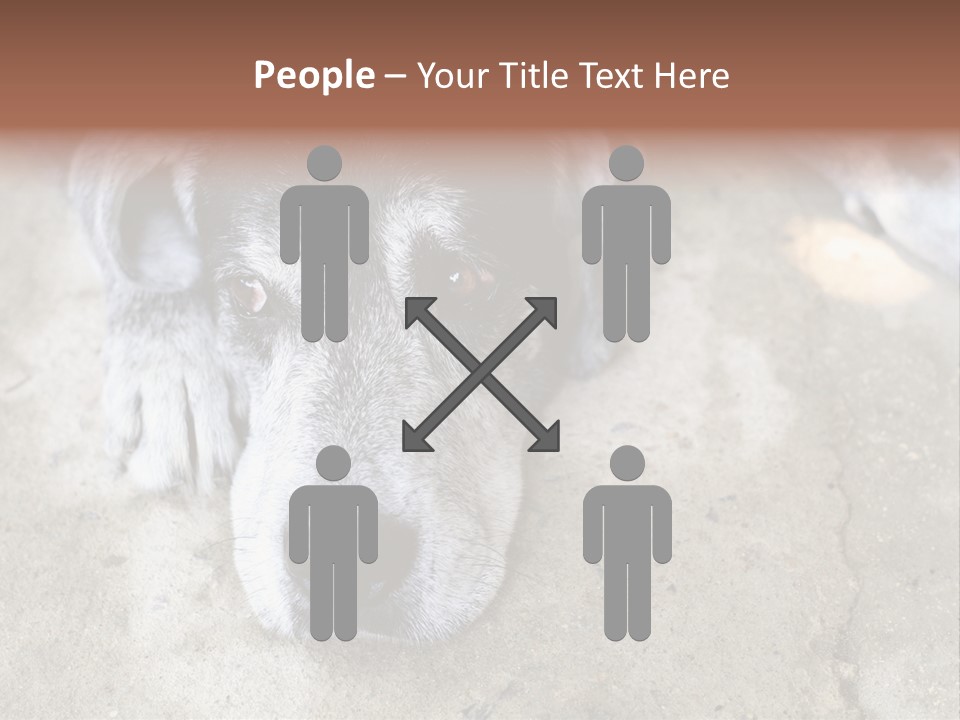 Black Down Indoors PowerPoint Template