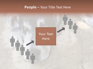 Black Down Indoors PowerPoint Template