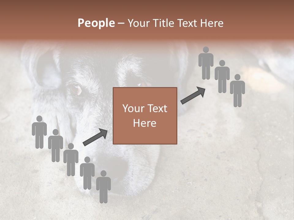 Black Down Indoors PowerPoint Template