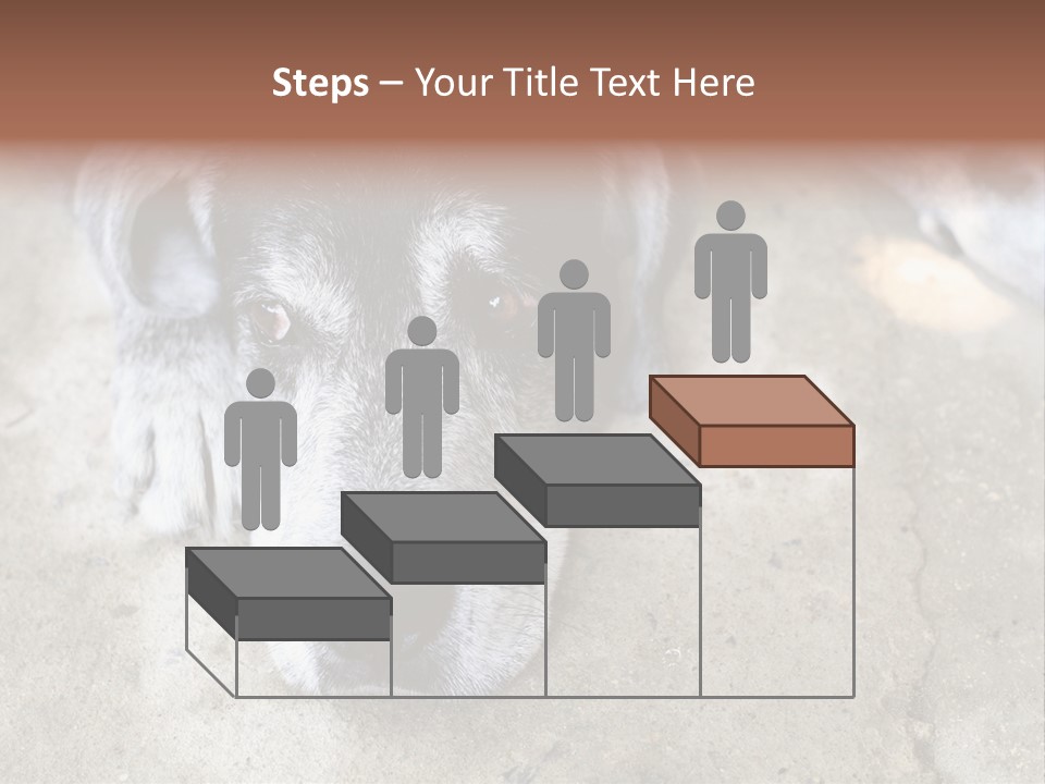 Black Down Indoors PowerPoint Template