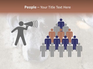 Black Down Indoors PowerPoint Template