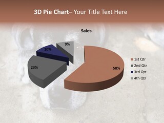 Black Down Indoors PowerPoint Template