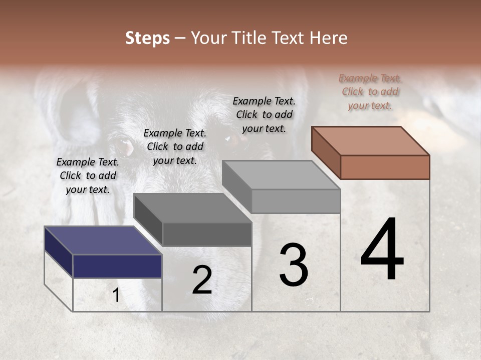 Black Down Indoors PowerPoint Template
