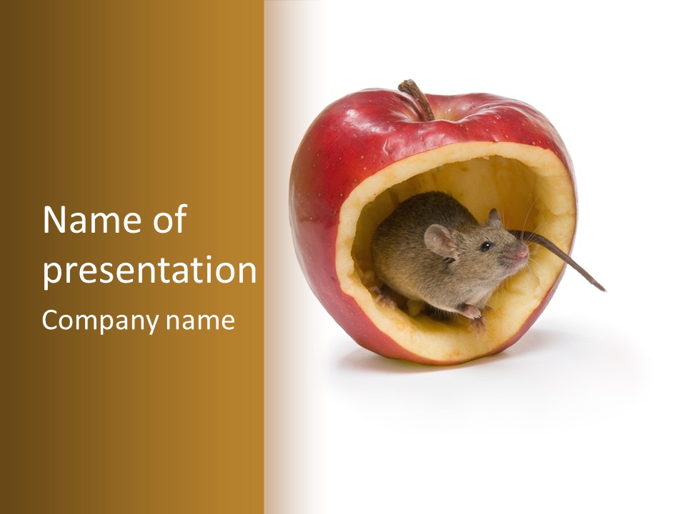 A Mouse Inside Of An Apple On A White Background PowerPoint Template