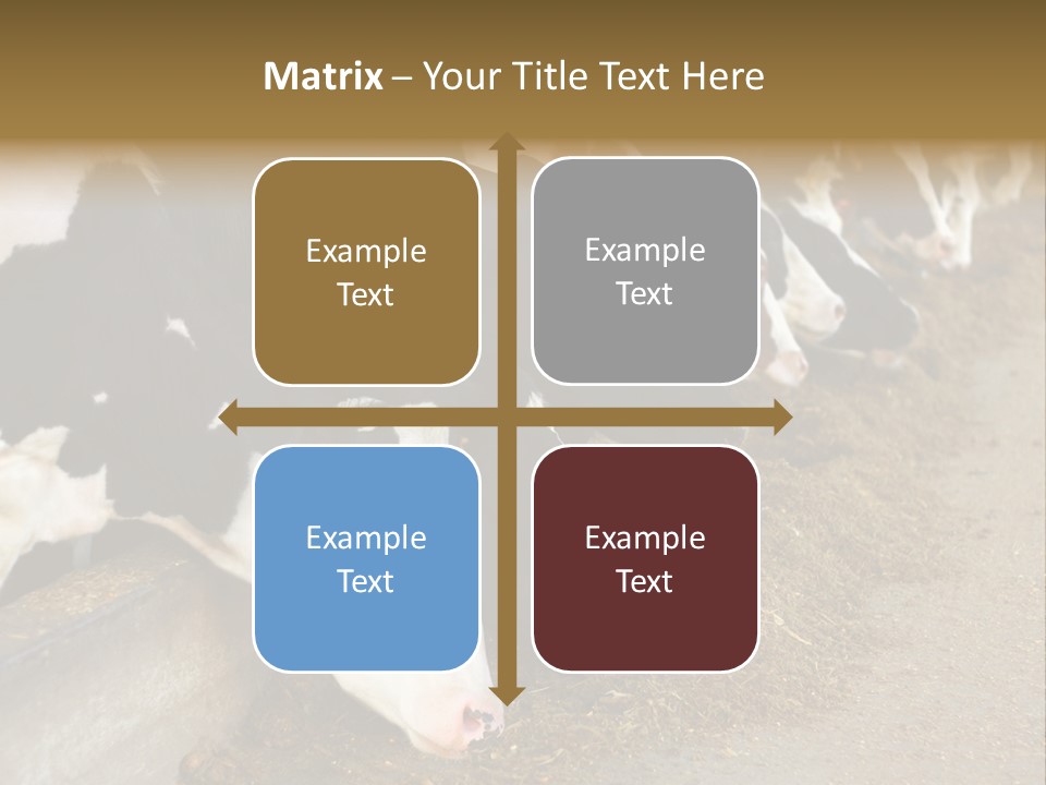 Stall Agricultural Herd PowerPoint Template
