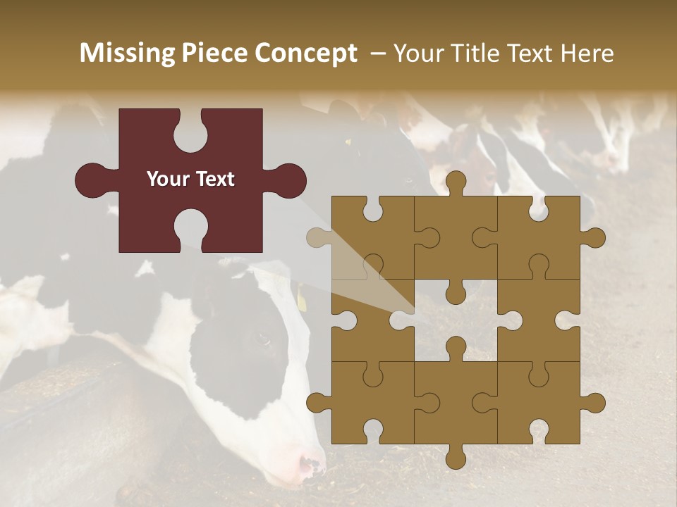 Stall Agricultural Herd PowerPoint Template