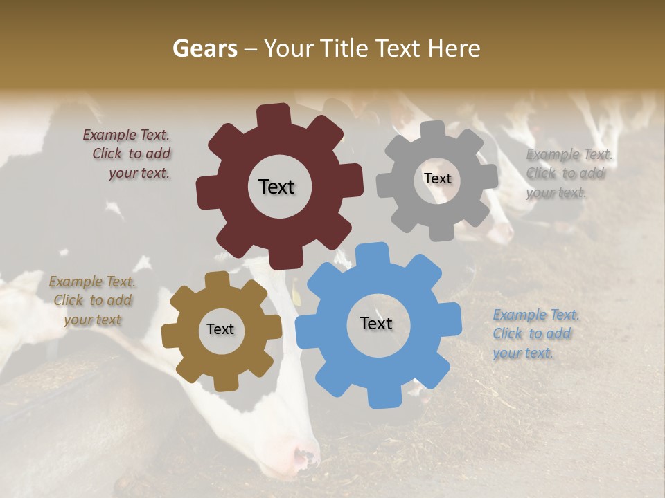 Stall Agricultural Herd PowerPoint Template