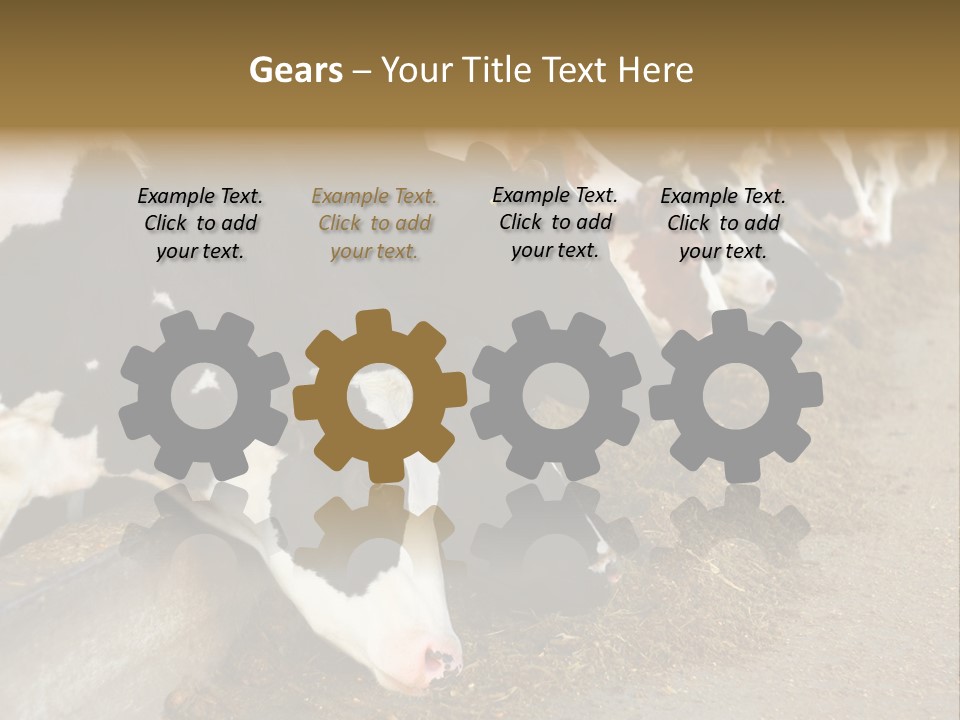 Stall Agricultural Herd PowerPoint Template