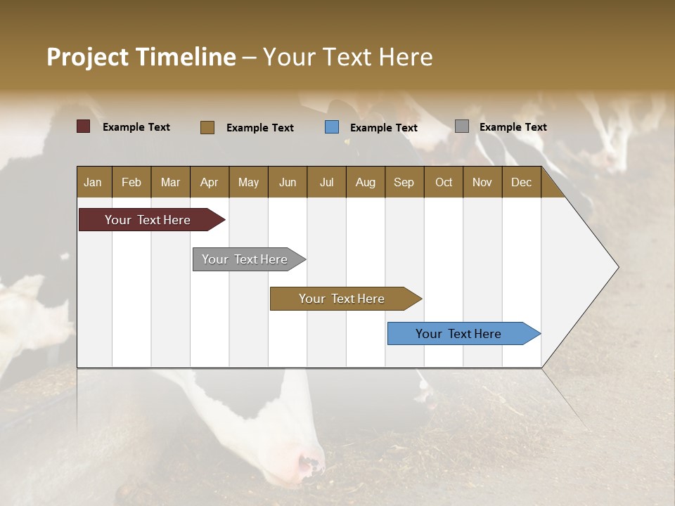 Stall Agricultural Herd PowerPoint Template