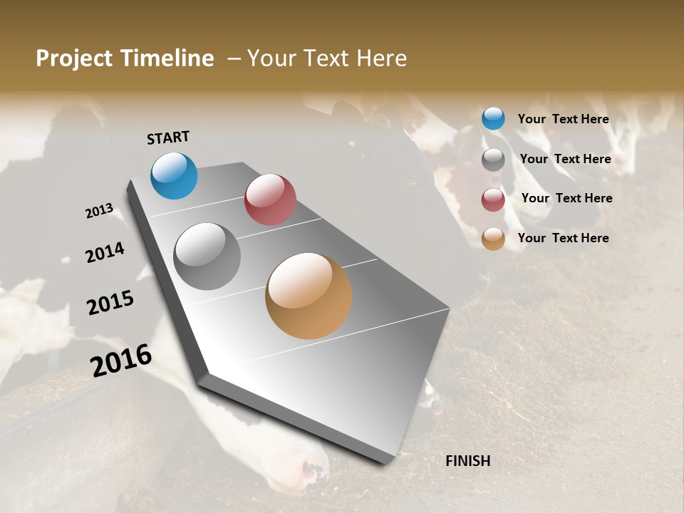 Stall Agricultural Herd PowerPoint Template