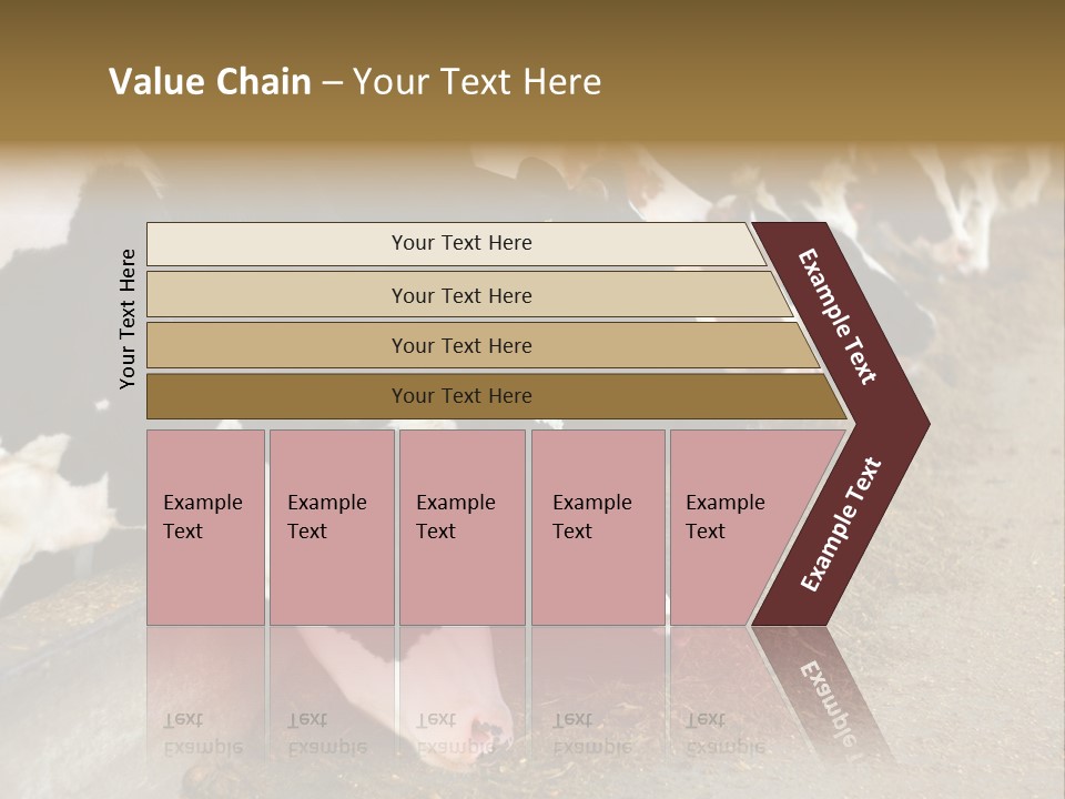 Stall Agricultural Herd PowerPoint Template