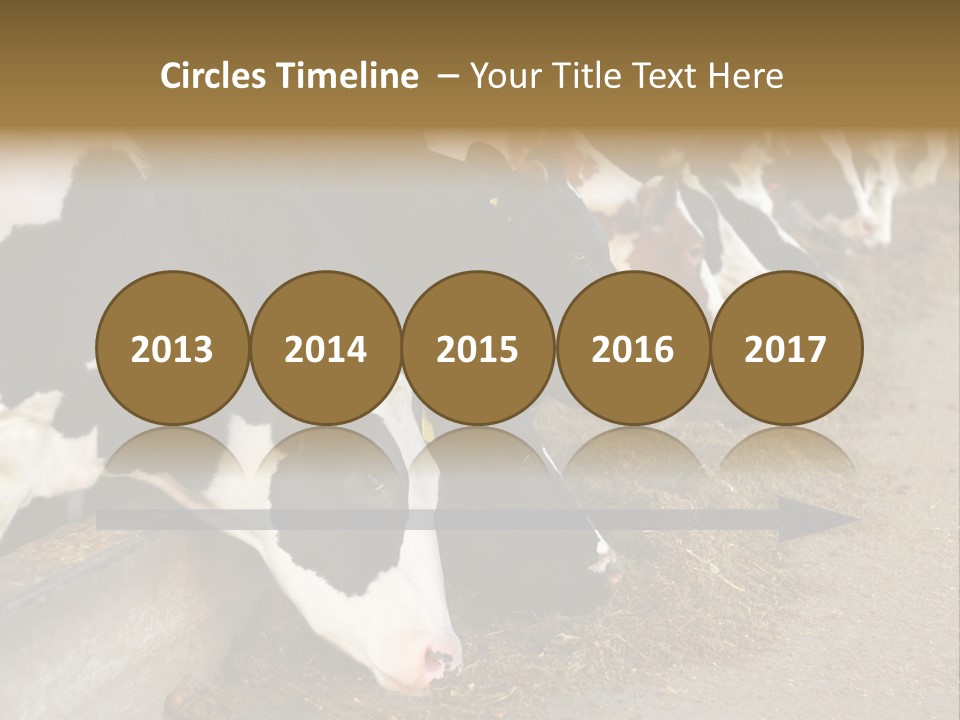 Stall Agricultural Herd PowerPoint Template