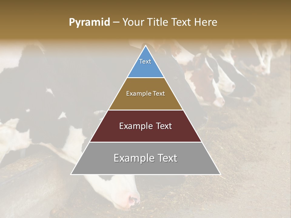 Stall Agricultural Herd PowerPoint Template
