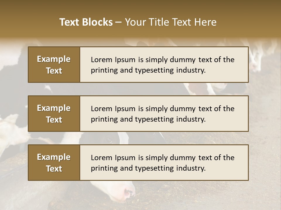 Stall Agricultural Herd PowerPoint Template