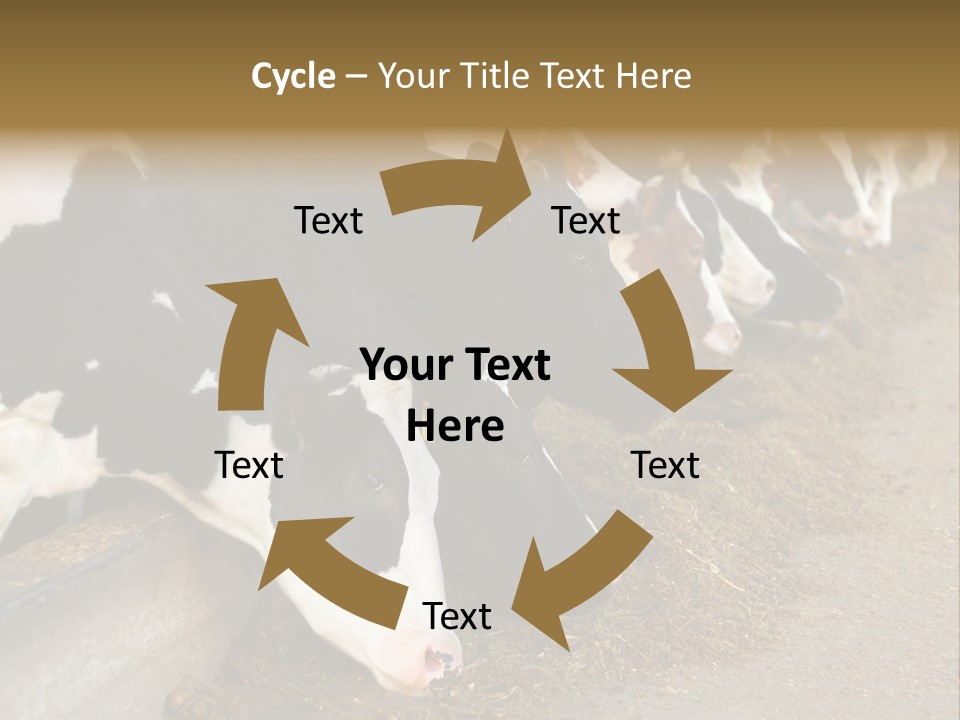Stall Agricultural Herd PowerPoint Template