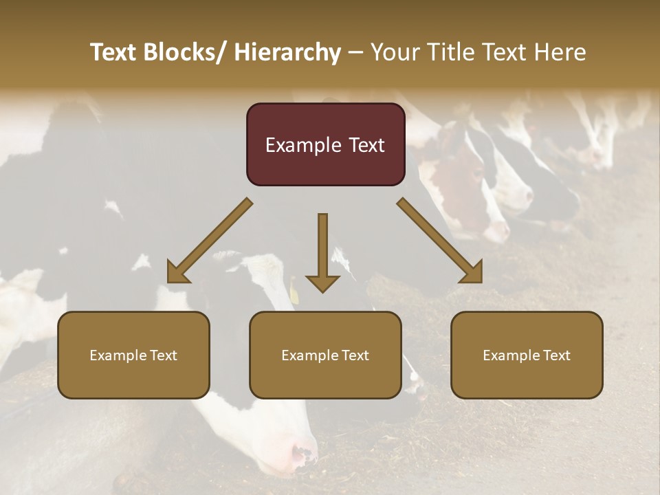 Stall Agricultural Herd PowerPoint Template