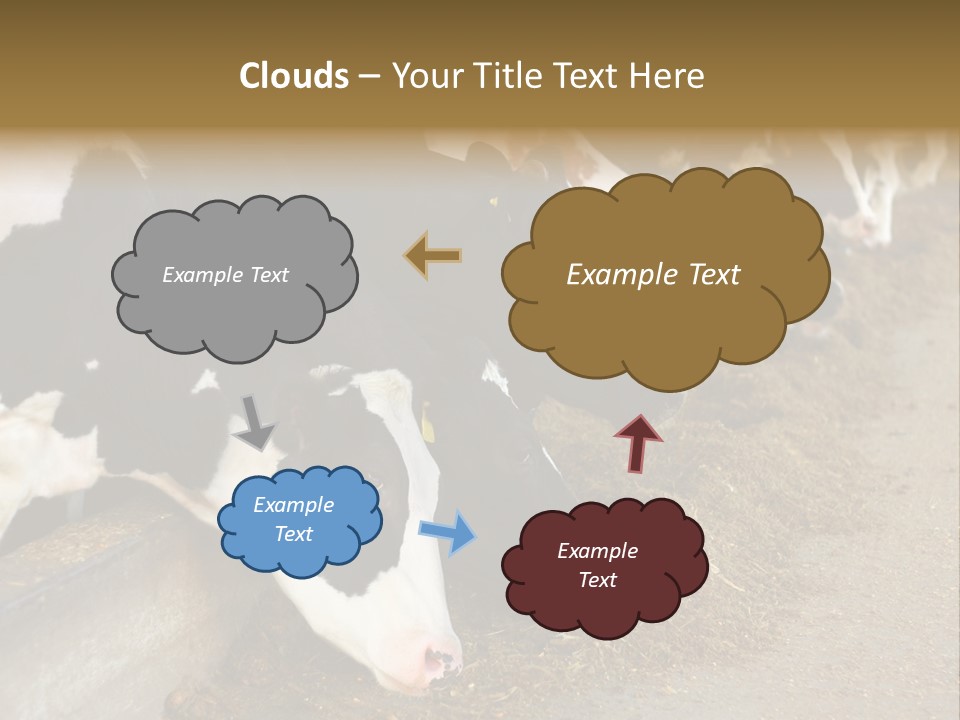 Stall Agricultural Herd PowerPoint Template