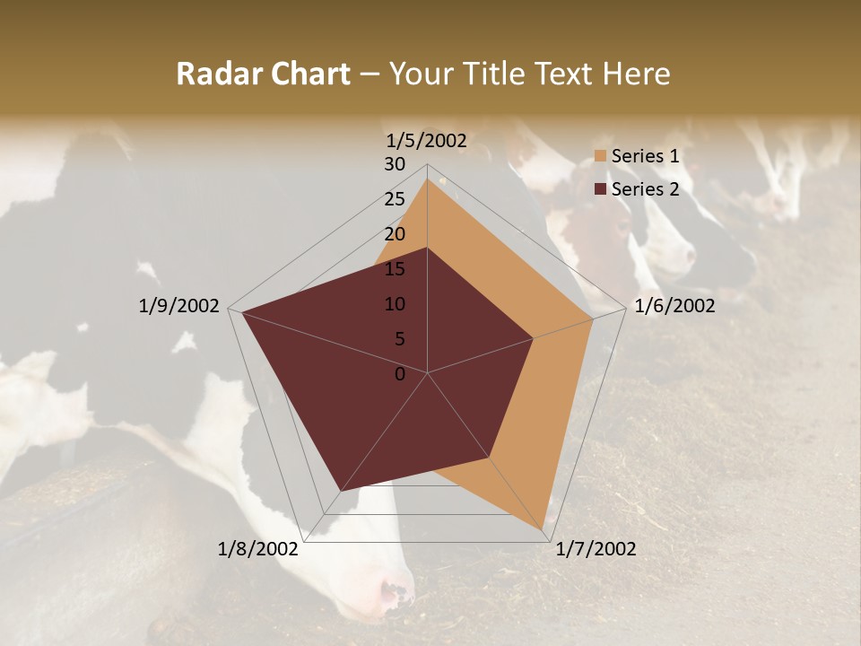 Stall Agricultural Herd PowerPoint Template