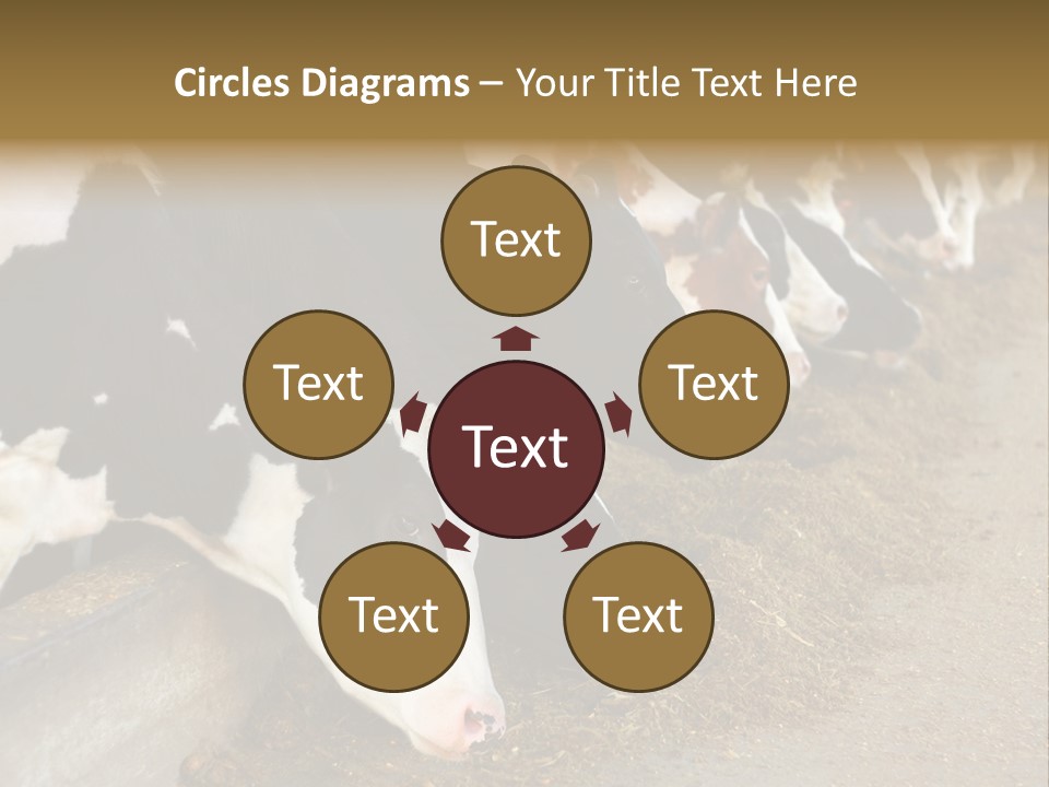 Stall Agricultural Herd PowerPoint Template