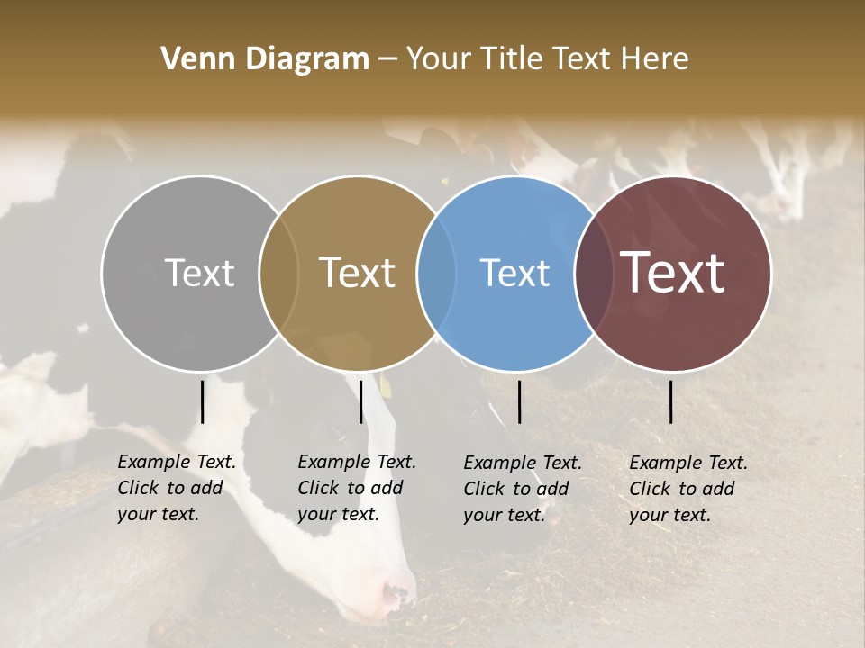 Stall Agricultural Herd PowerPoint Template
