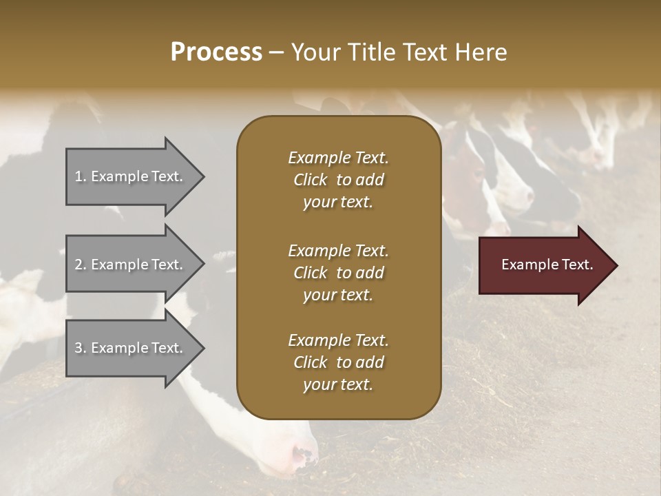 Stall Agricultural Herd PowerPoint Template