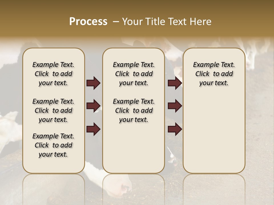 Stall Agricultural Herd PowerPoint Template
