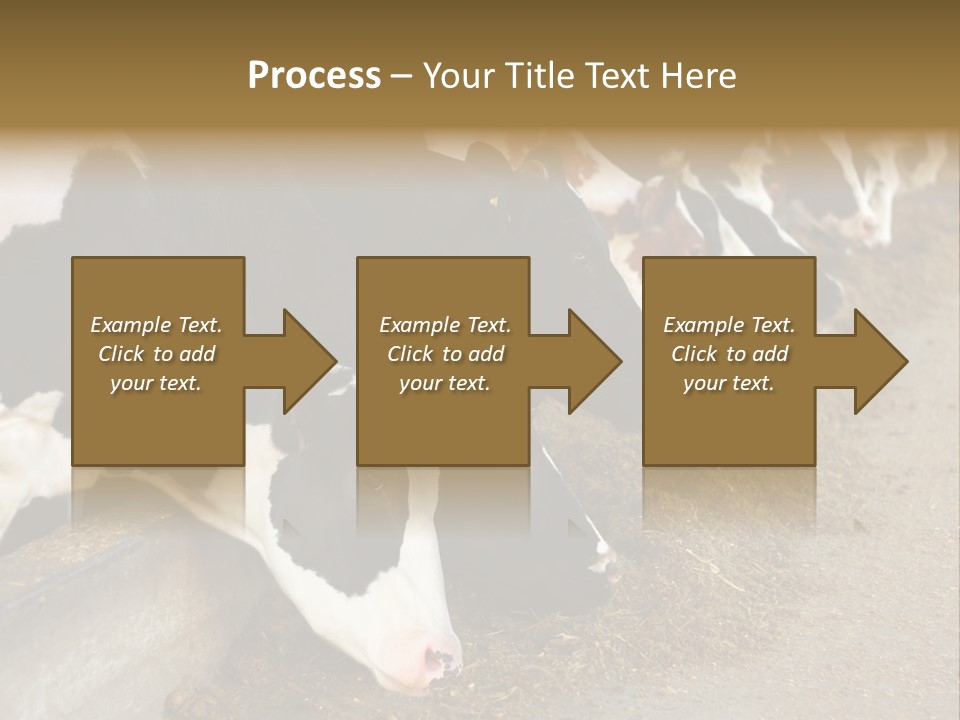 Stall Agricultural Herd PowerPoint Template